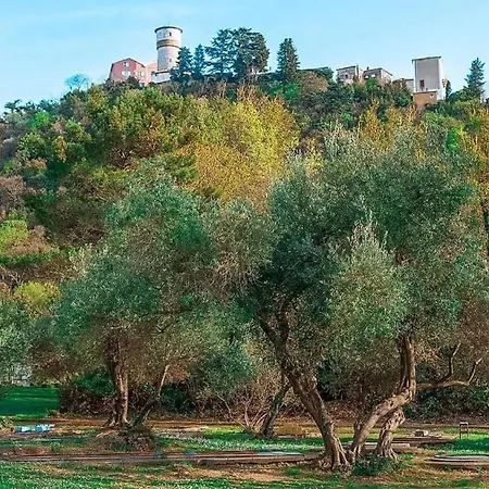 Vuka 4* オミサリ