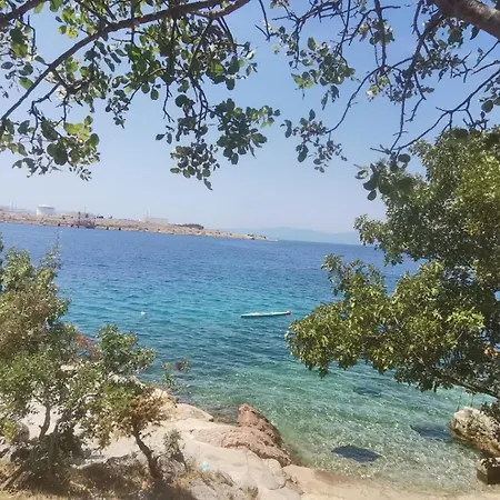 Vuka